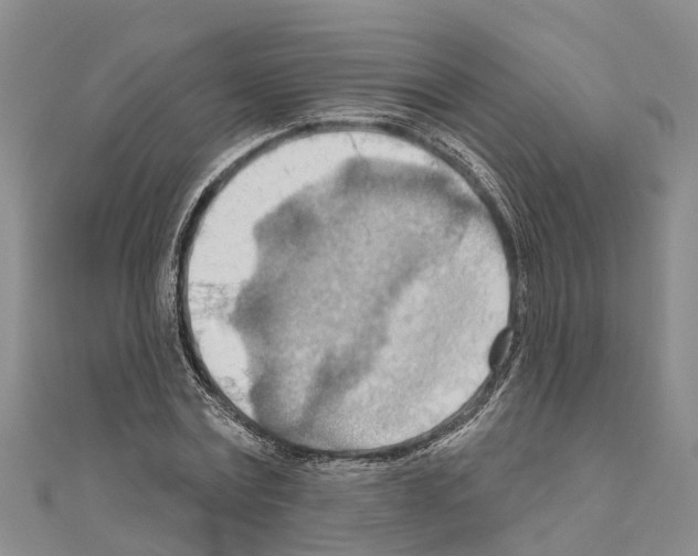 X0000111040779200908061456