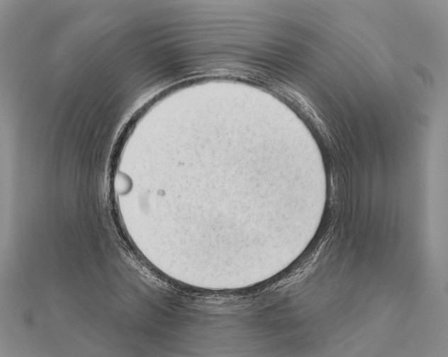 X0000111040780200908061456