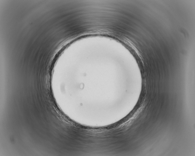 X0000111040781200908061456