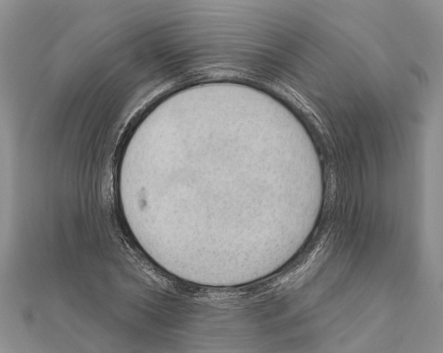 X0000111040782200908061456