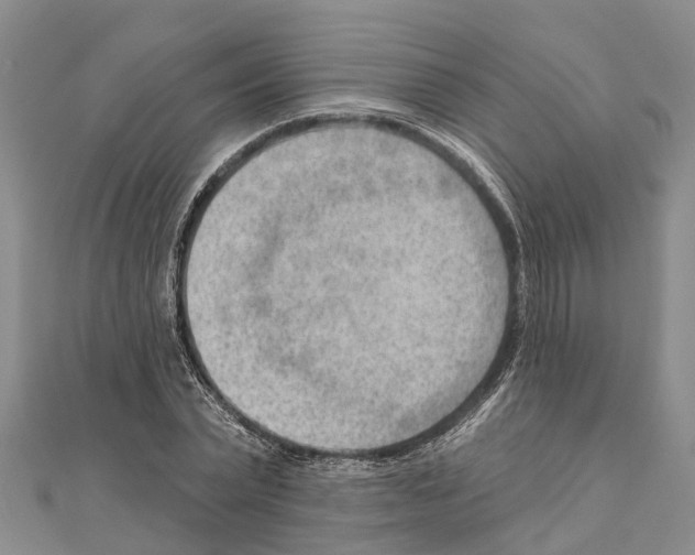 X0000111040783200908061456