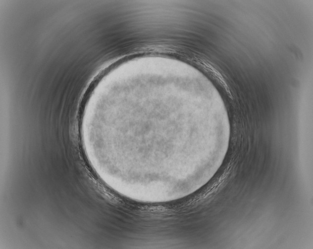 X0000111040784200908061456