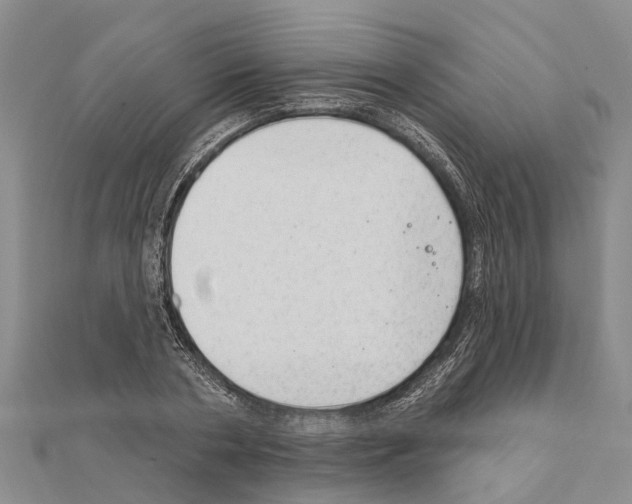 X0000111040786200908061456