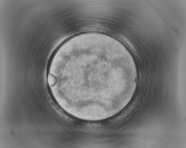 X0000111040788200908061456