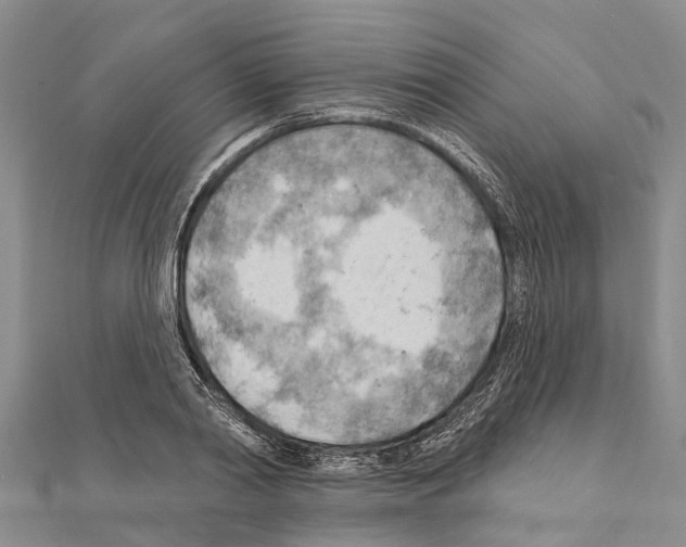 X0000111040790200908061456