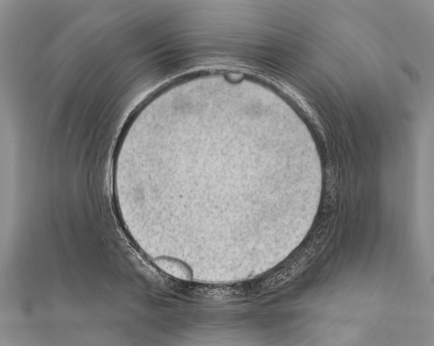 X0000111040791200908061456