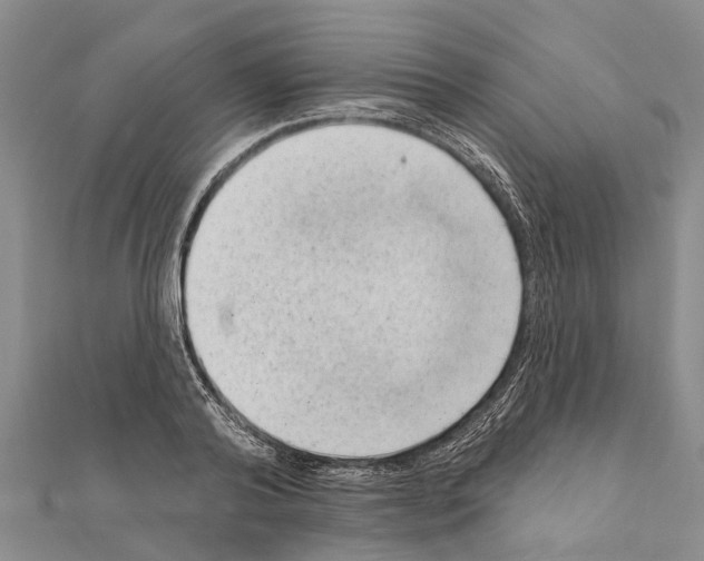 X0000111040792200908061455