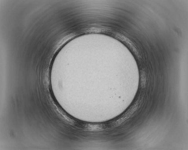 X0000111040794200908061455