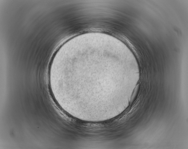 X0000111040795200908061455