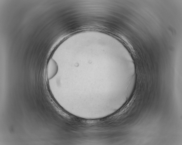 X0000111040796200908061455