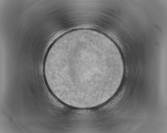 X0000111040797200908061455