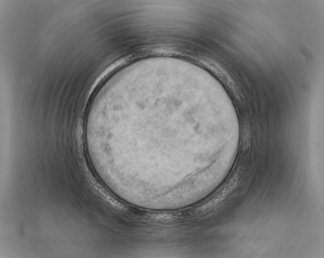 X0000111040798200908061455