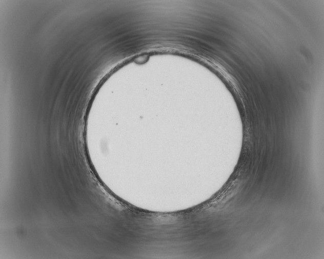 X0000111040799200908061455