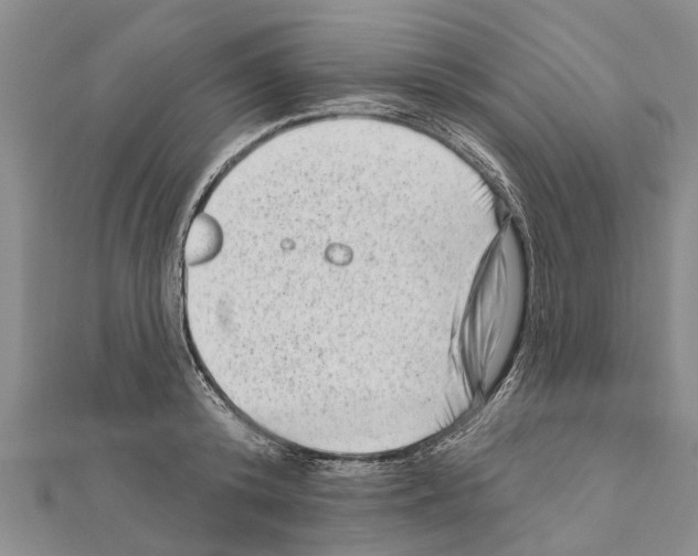 X0000111040800200908061455