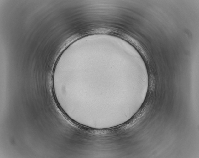 X0000111040802200908061455