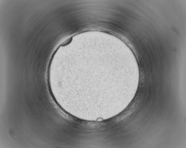 X0000111040803200908061455