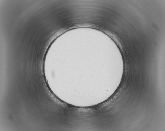 X0000111040805200908061455