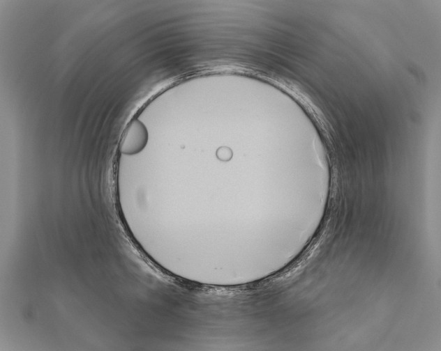 X0000111040806200908061455