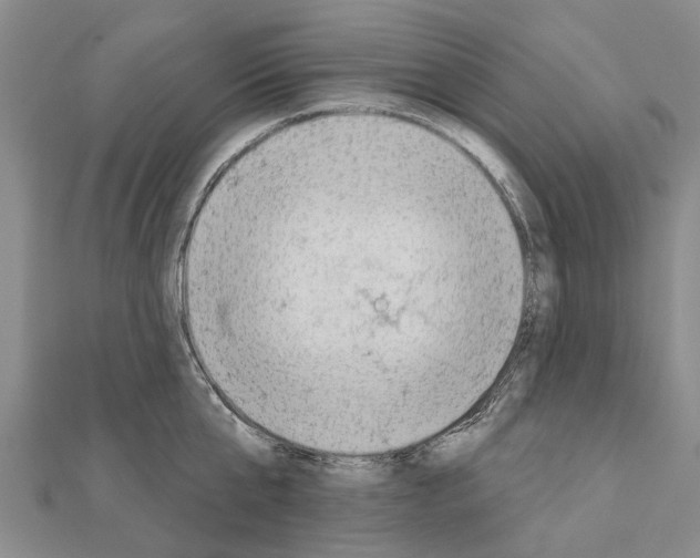 X0000111040807200908061455