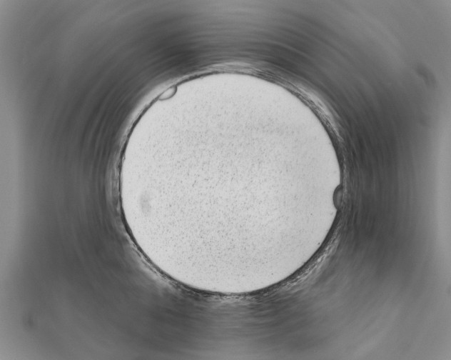 X0000111040808200908061455