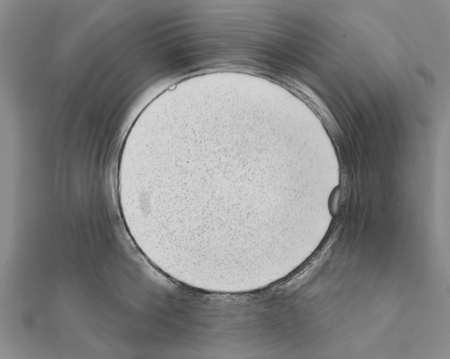 X0000111040812200908061455