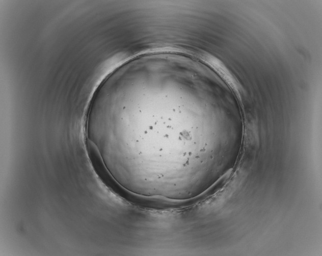 X0000111040813200908061455