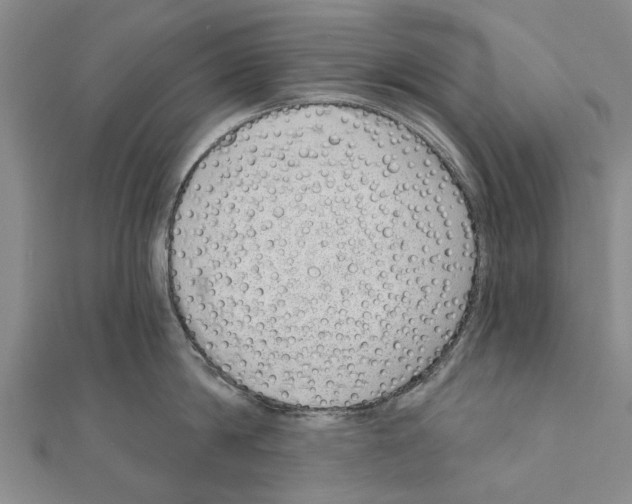 X0000111040814200908061455