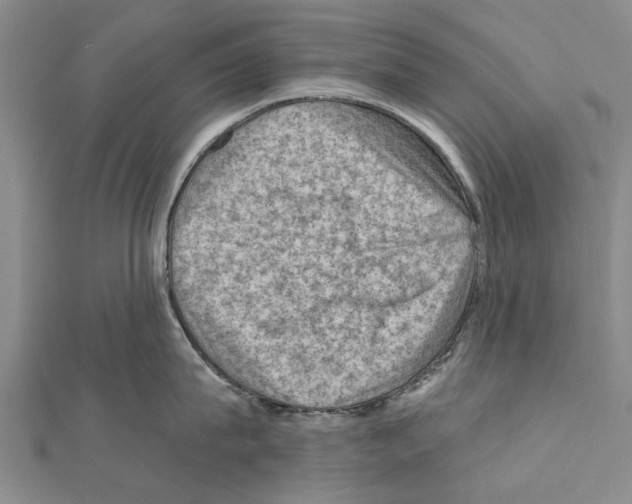 X0000111040815200908061455