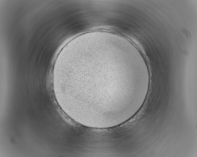 X0000111040816200908061455