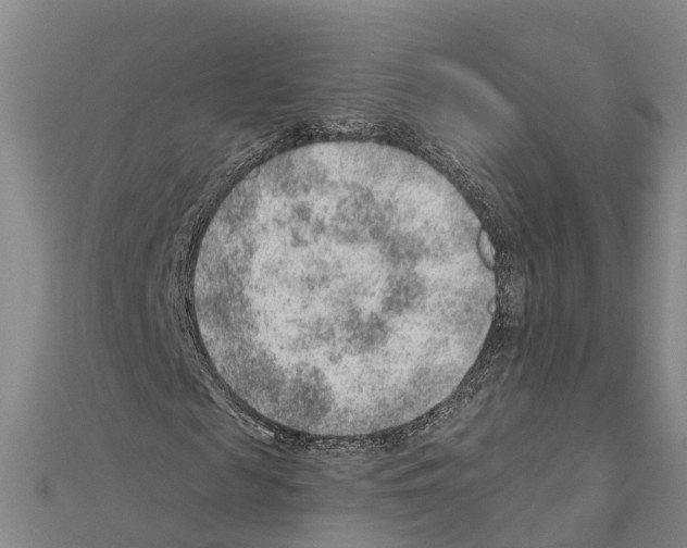 X0000111040817200908061455