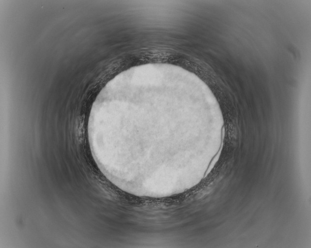 X0000111040818200908061455