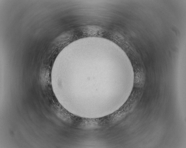 X0000111040820200908061455