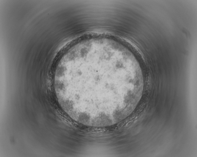 X0000111040823200908061455