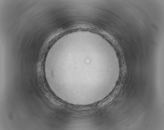 X0000111040824200908061455