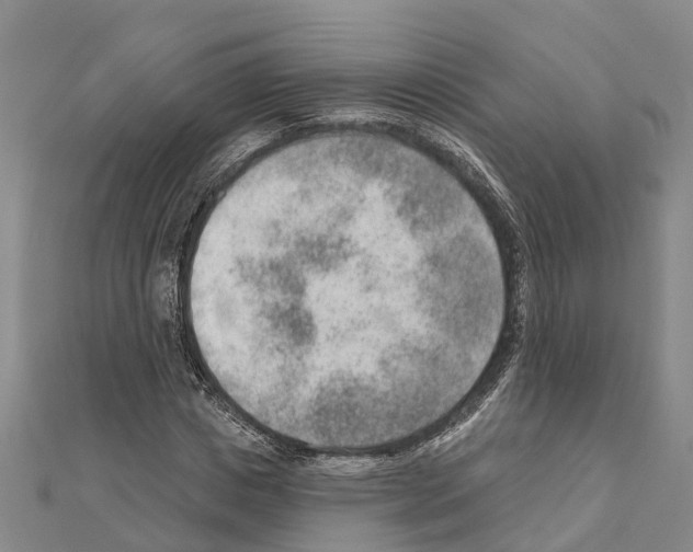 X0000111040825200908061455