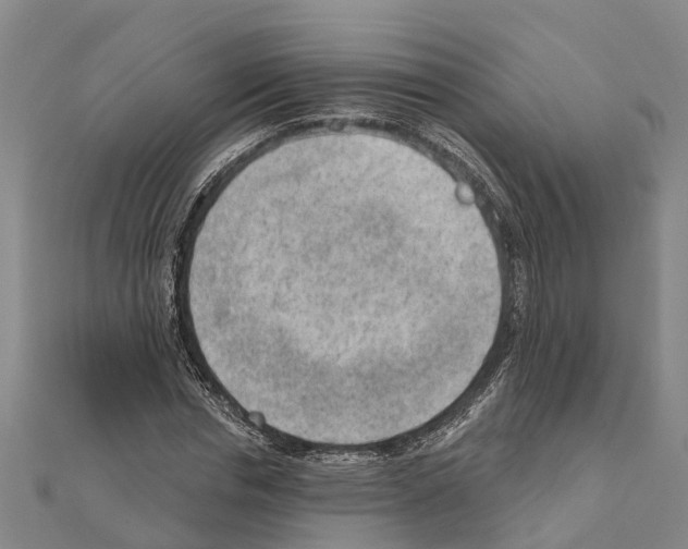 X0000111040826200908061455