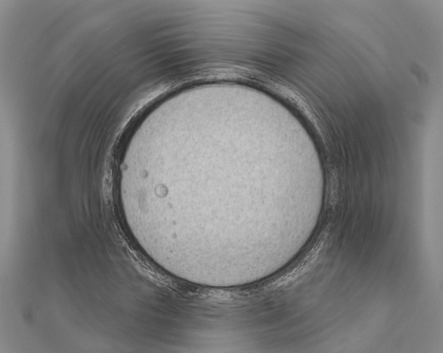 X0000111040827200908061455