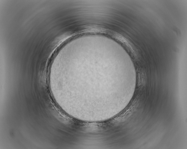 X0000111040828200908061455