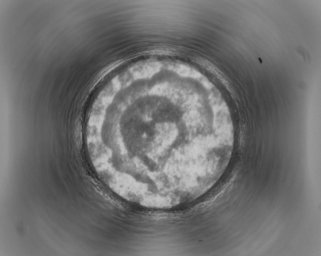 X0000111040829200908061455