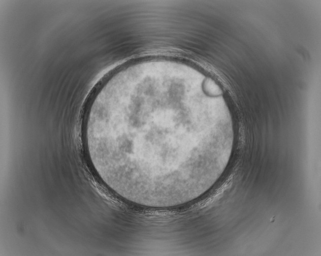 X0000111040830200908061455