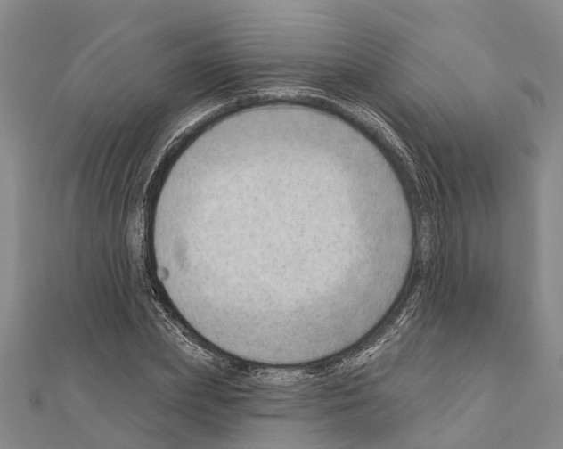 X0000111040831200908061455