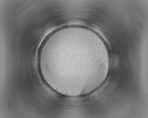 X0000111040832200908061455