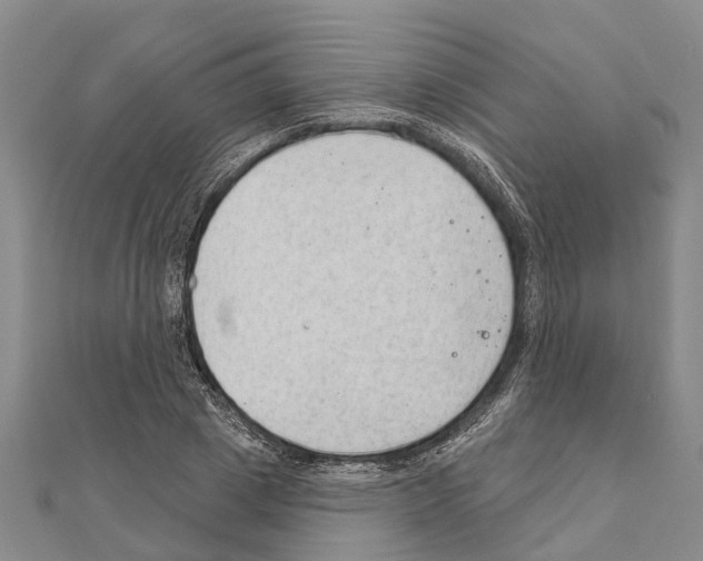 X0000111040833200908061455