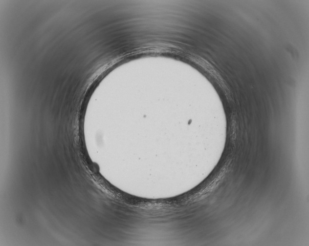 X0000111040834200908061455