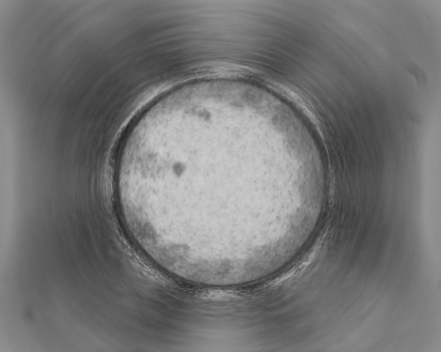 X0000111040835200908061455