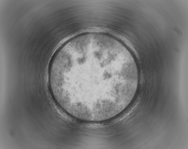 X0000111040837200908061455