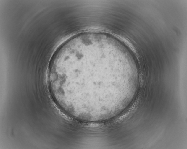 X0000111040839200908061455