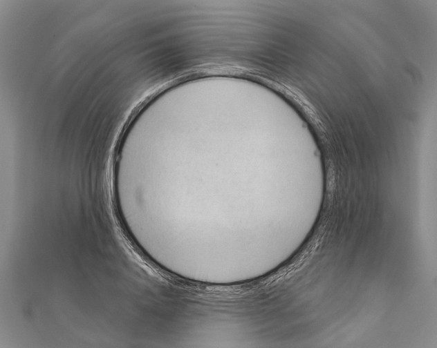 X0000111040840200908061455