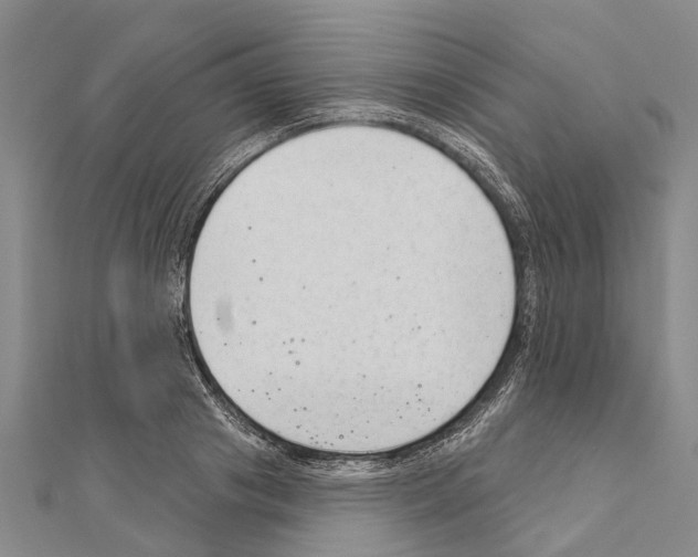 X0000111040841200908061455