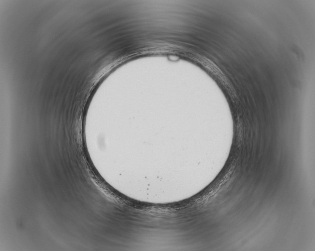 X0000111040842200908061455